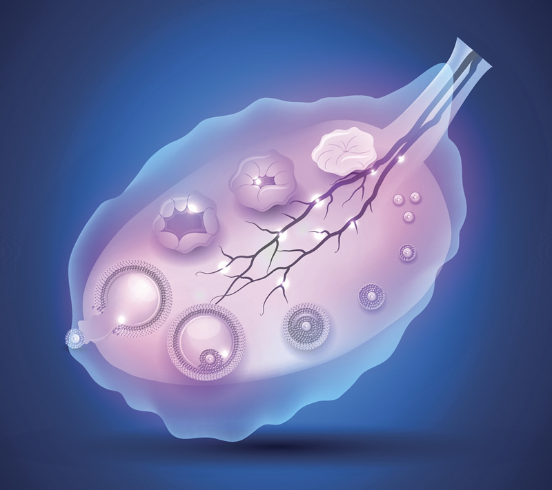 探索泰国做试管的费用结构，每个环节都需花费多少？
